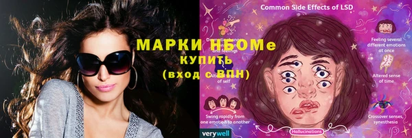 индика Усинск